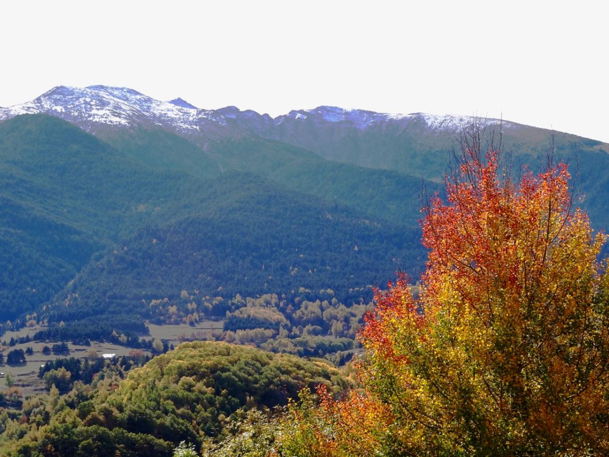 Automatka Sveitsiin kodinvaihtolomalle